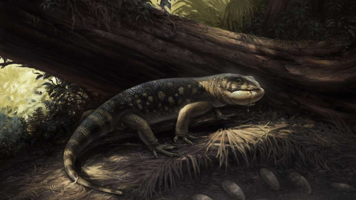 Raccoon-sized prehistoric monstersaur with goblin-like teeth uncovered in Utah