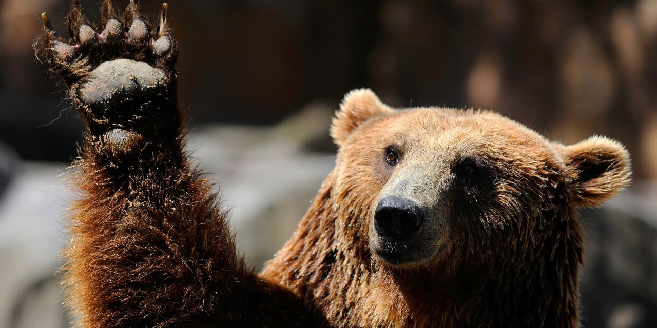 The Vulnerability of the Stock Rally: It's Not Just Earnings