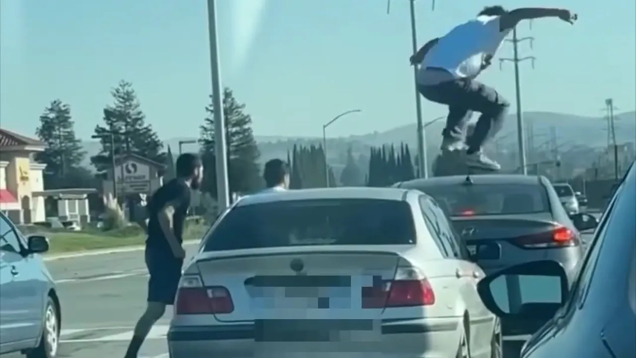 Man Arrested for Critically Injuring Dog in San Jose Road Rage Incident