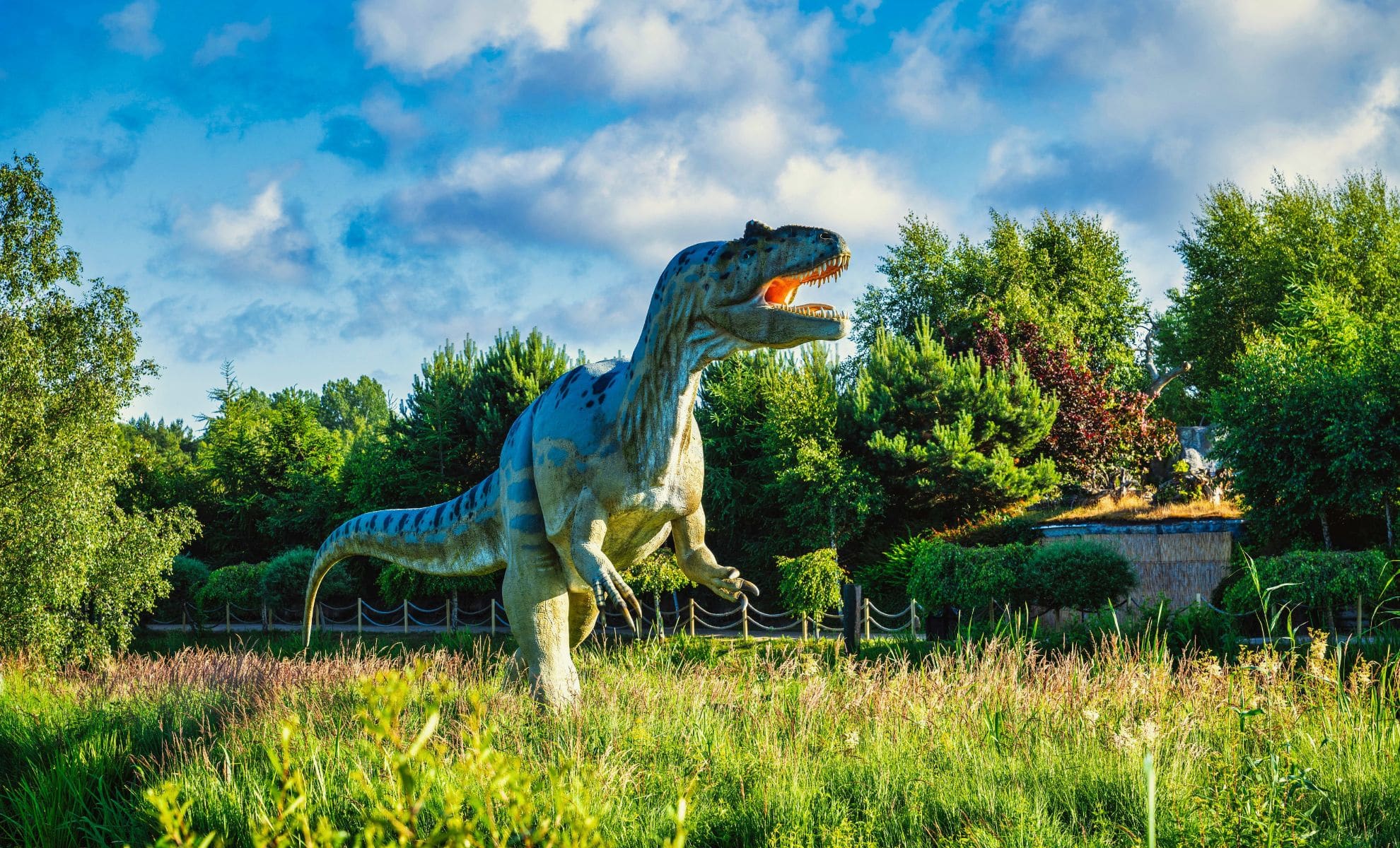 Featured image for Colorado Uncovers Giant Dinosaur 'Dance-Off' Arena