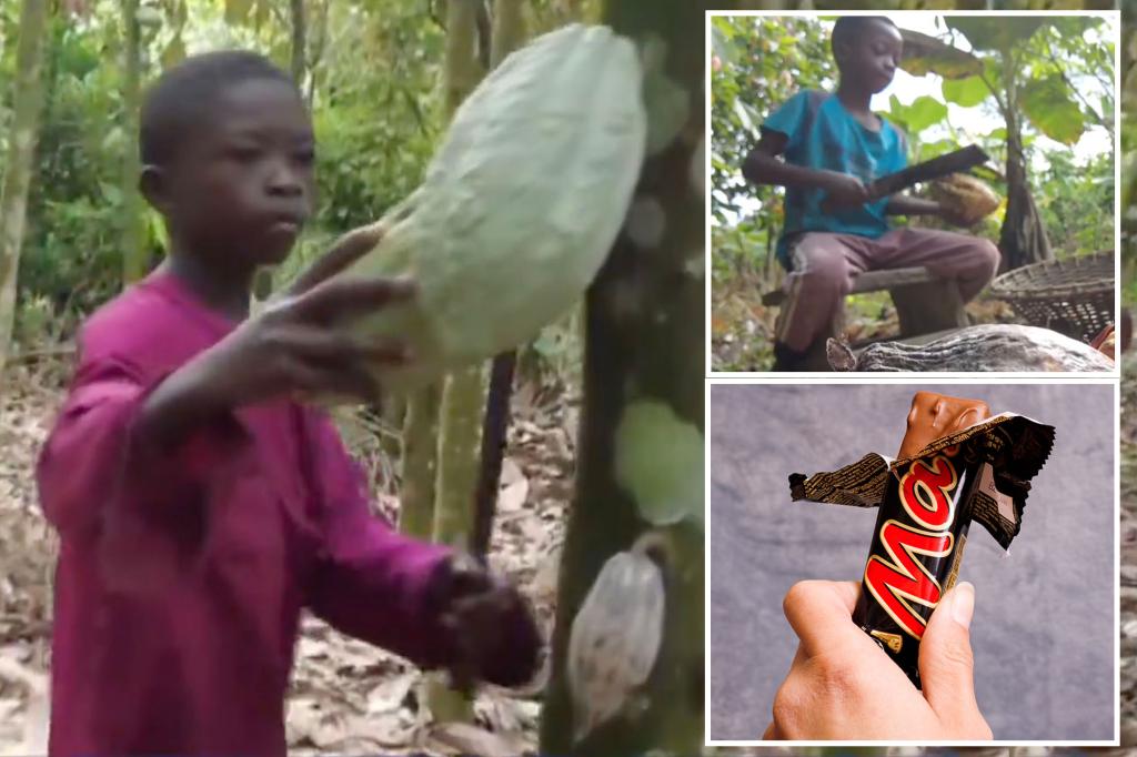 Featured image for Child Labor Allegations: Mars Candy Company's Dark Secret Revealed