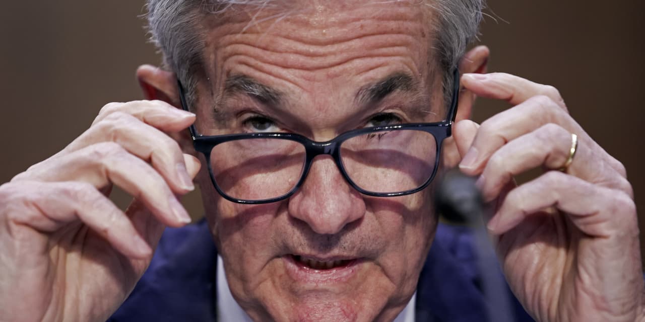 "Anticipating the Market's Response to Imminent Fed Rate Cuts and Historical Trends"