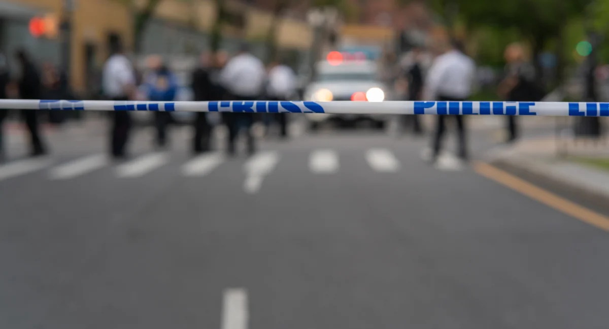 83-year-old man fatally stabbed in Brooklyn apartment building, police launch manhunt for suspect.