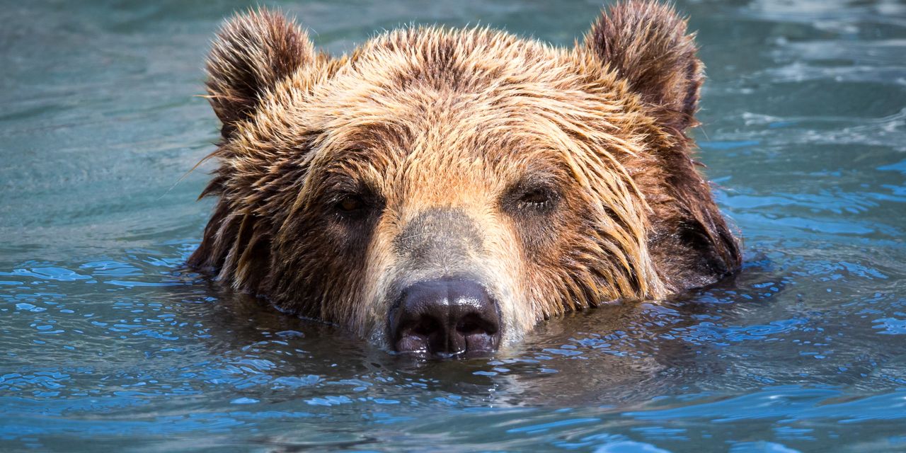 Featured image for S&P 500 Signals Potential Downturn as it Breaks Key Moving Average