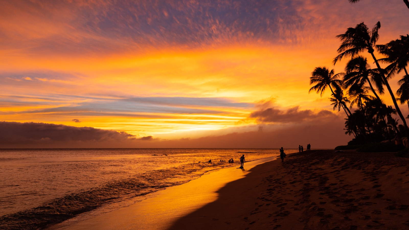 Promoting Aloha: Educating Maui Visitors for Responsible Tourism