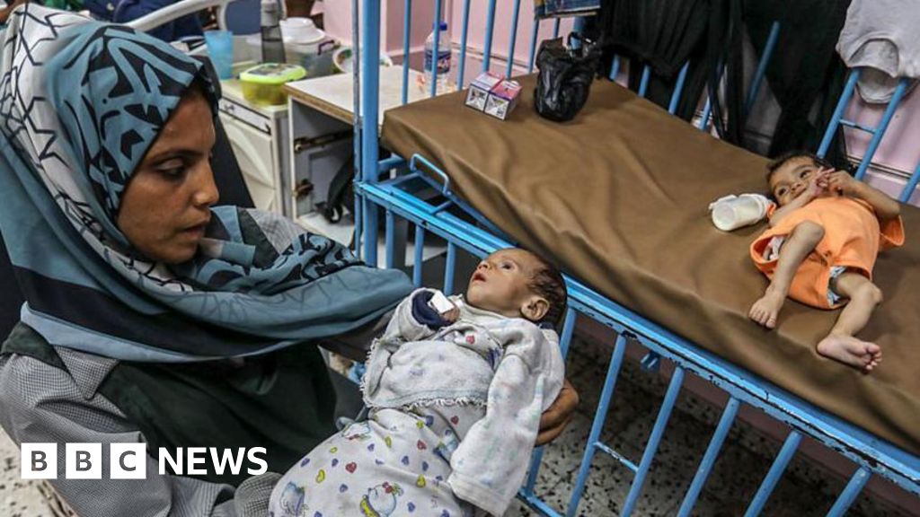 Featured image for UN Warns of Widespread Starvation and Malnutrition in Gaza