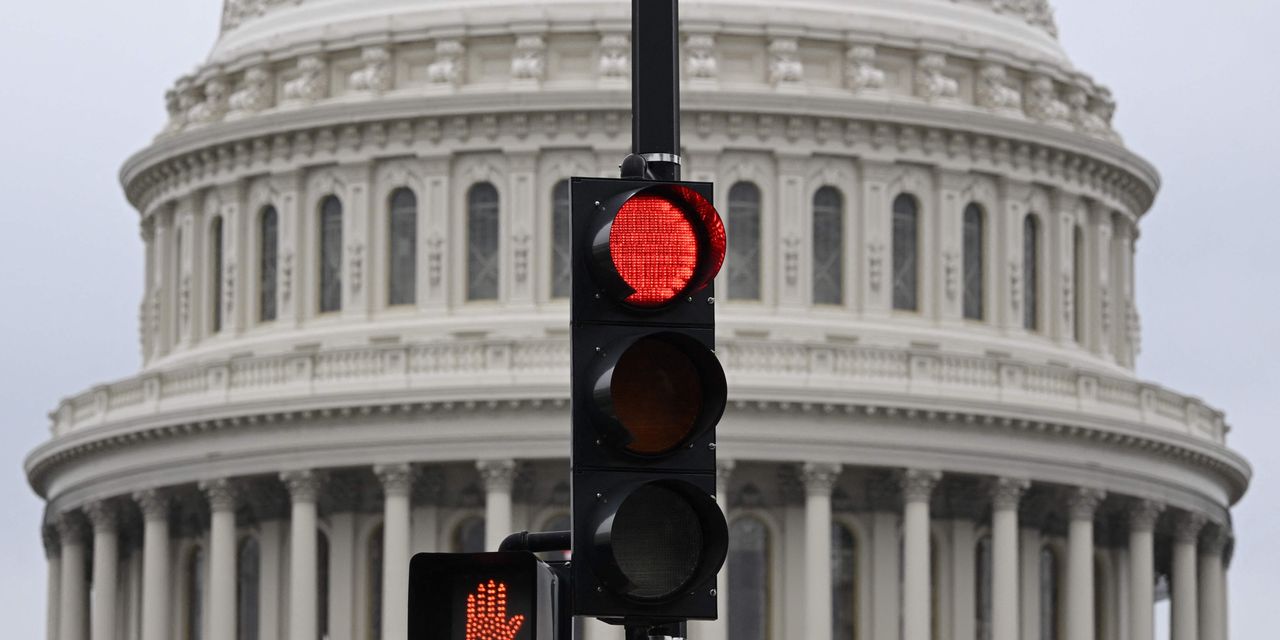 Navigating Market Turbulence: Citi's Shutdown Playbook for Investors