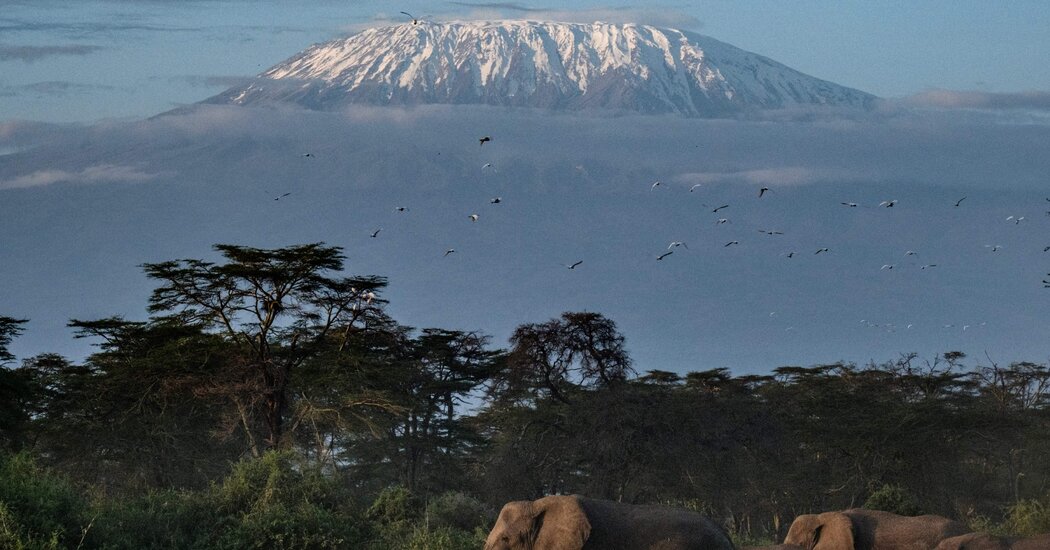 Featured image for Five Dead in Helicopter Crash on Mount Kilimanjaro