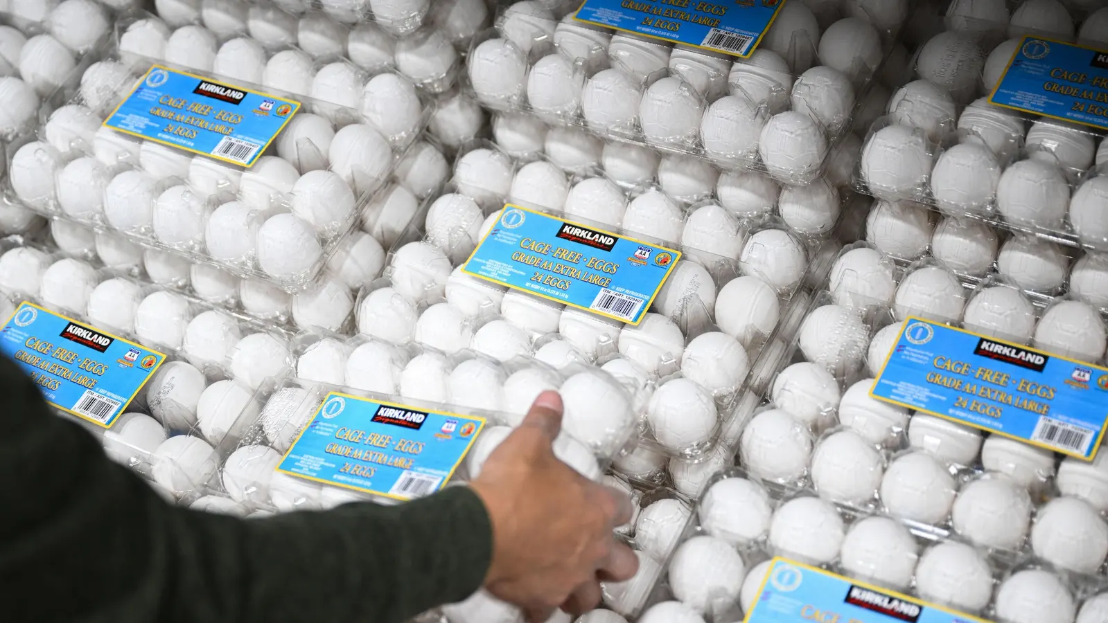 Featured image for Costco Recalls Over 10,000 Egg Cartons for Salmonella Risk