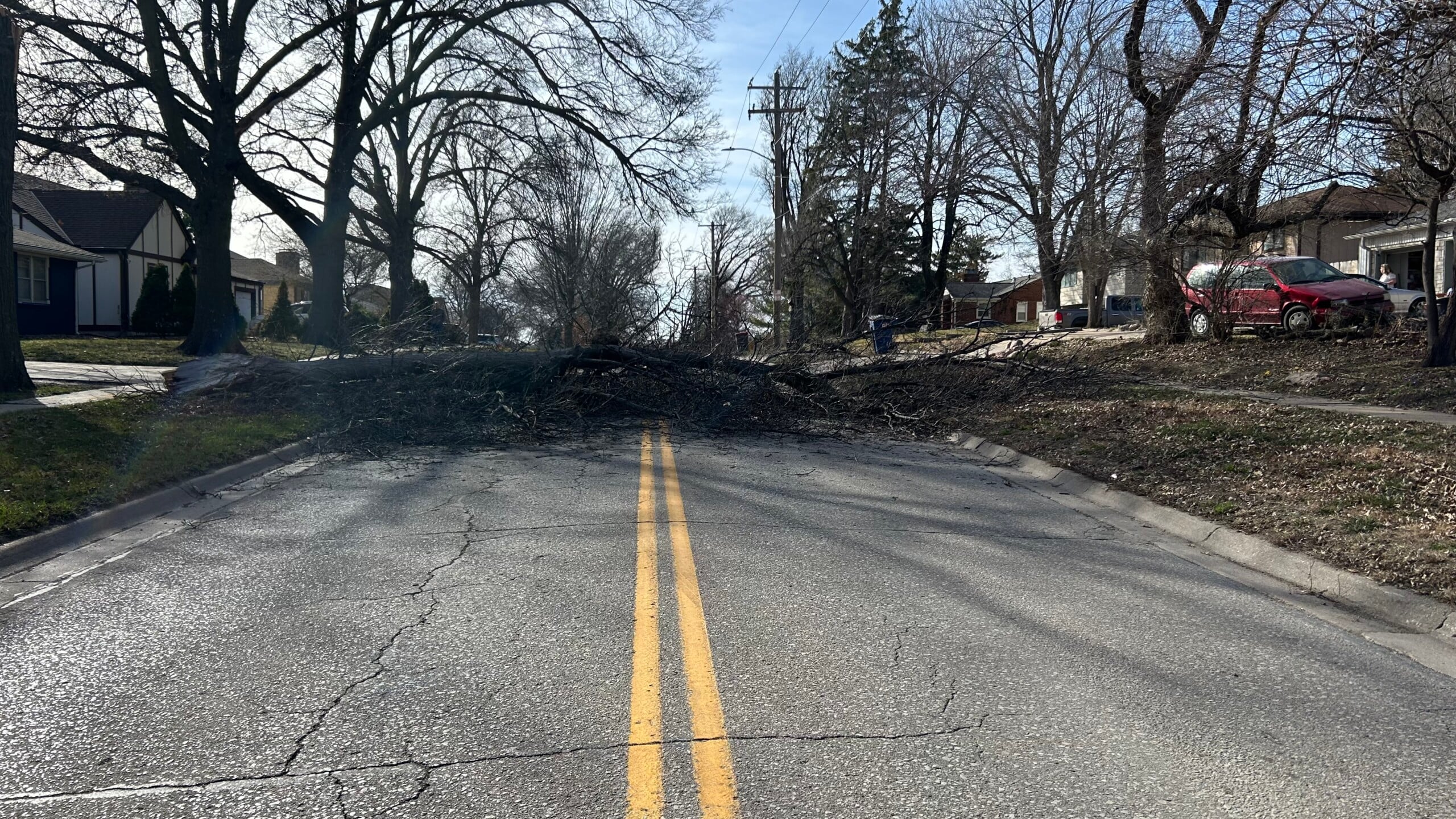 Featured image for "Massive Tree Causes Road Blockage in East Lincoln"