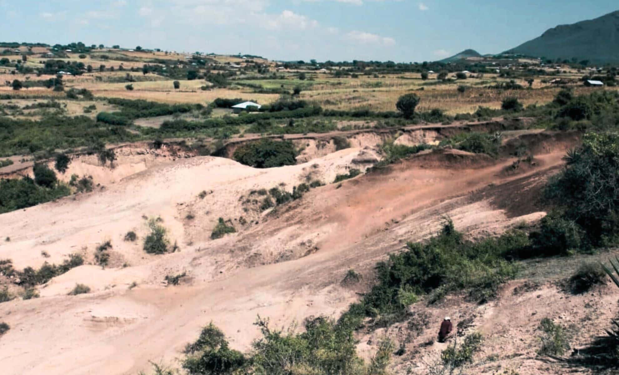 Featured image for Ancient Tools Discovered, Not Made by Human Ancestors