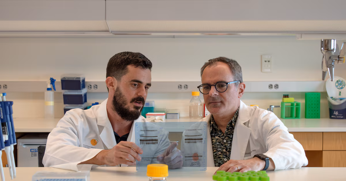 Featured image for Dallas Researchers Discover Cancer's Hidden Weakness