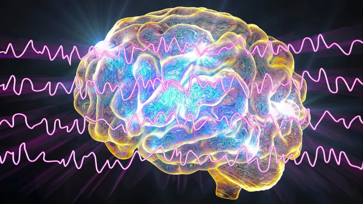 Tuning Your Soundscape to Protect Focus and Sleep