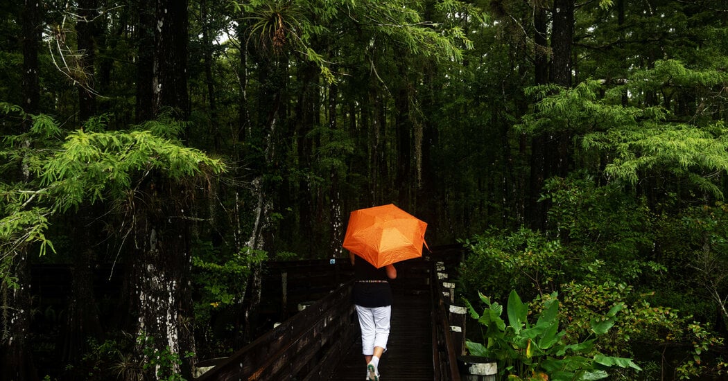 Featured image for Tropical Storm Threatens Florida with Heavy Rain and Storms