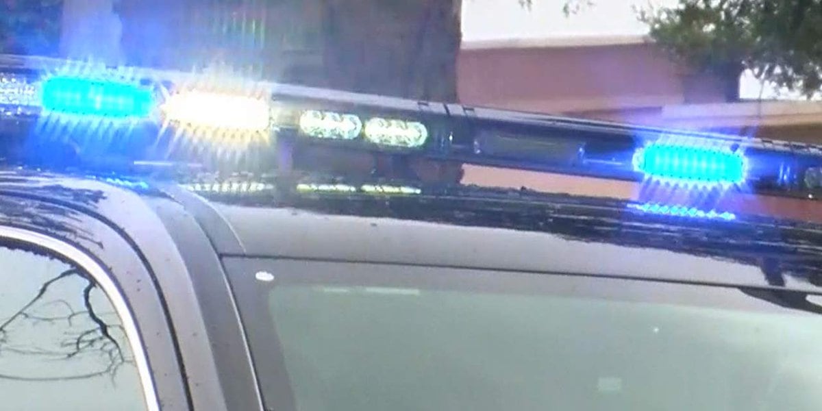 Featured image for Mother arrested for stabbing and holding 2-year-old underwater.