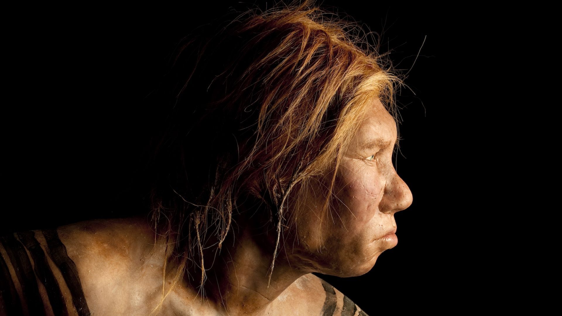 Featured image for Neanderthals' vulnerability to lead poisoning gave humans an evolutionary edge