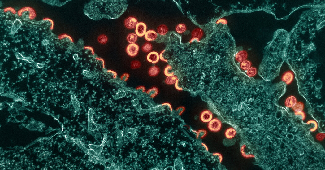 Featured image for "Privacy Concerns Raised Over C.D.C.'s H.I.V. Sample Tracking"