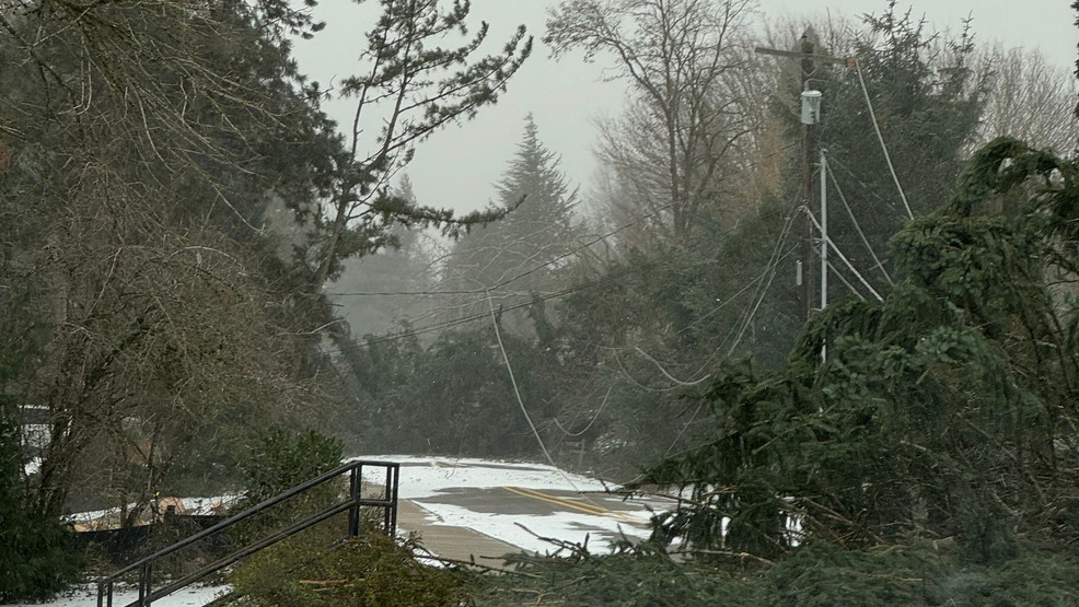 "Portland-metro Area Grapples with Prolonged Power Outages and Freezing Conditions"