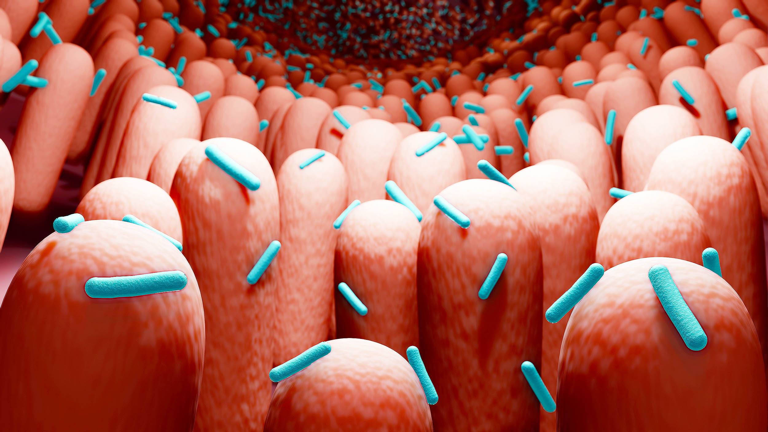 Featured image for Scientists Discover 'Insane' New Life Forms in Human Body