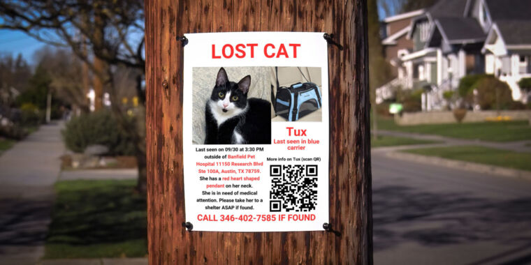 Featured image for Lyft Driver Takes Off with Cat, Owner Reunited After Days