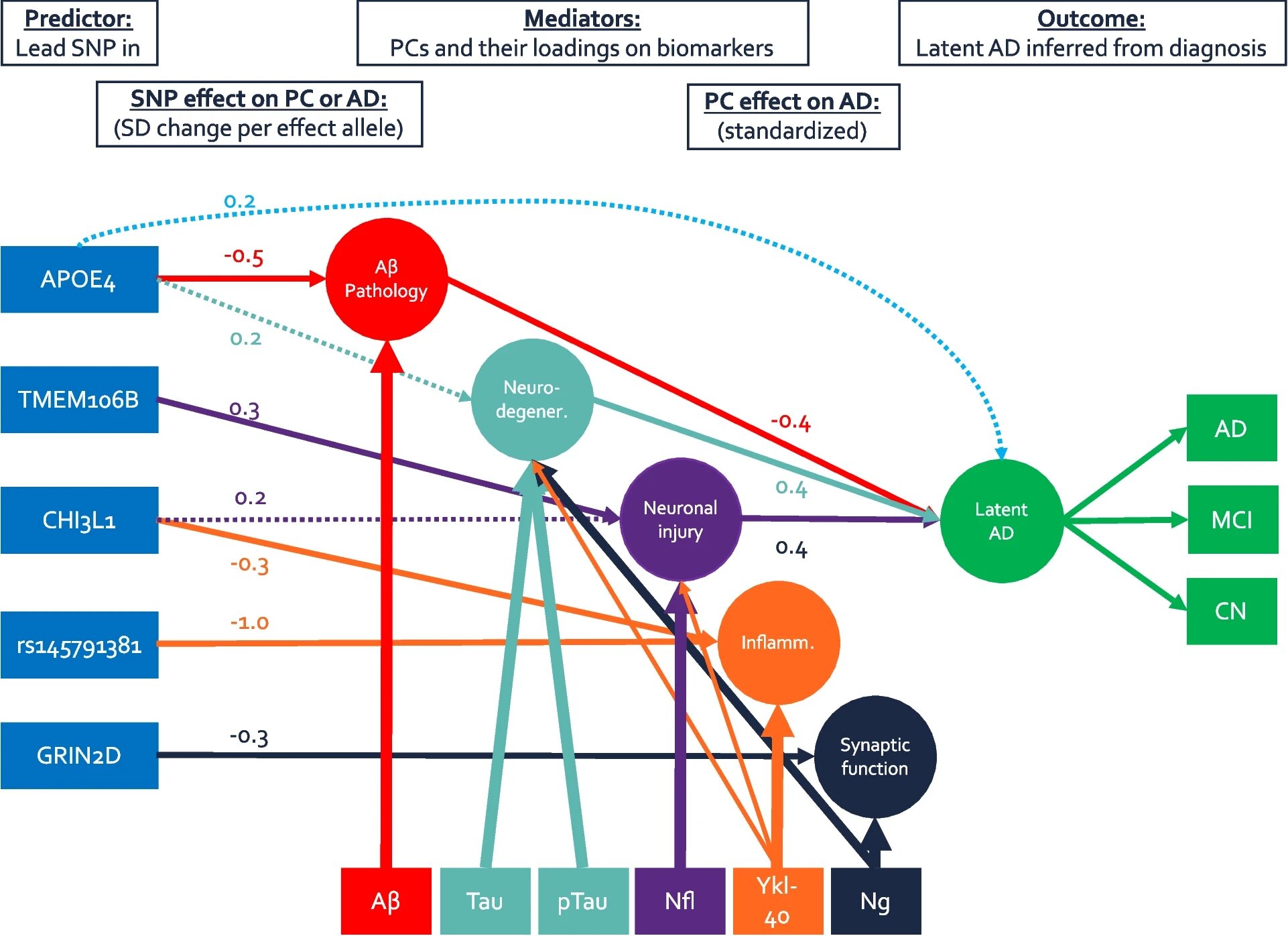 Featured image for Advancements in Alzheimer's Research: Unveiling Promising Pathways and Hopeful Breakthroughs