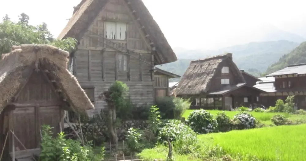 Featured image for Foreign Tourist Attacked by Bear at Japan's Popular Countryside Site