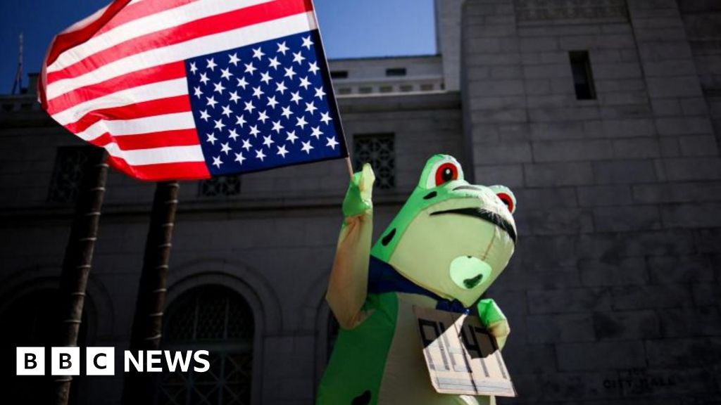 Featured image for Frogs: From Meme to Protest Symbol Against ICE