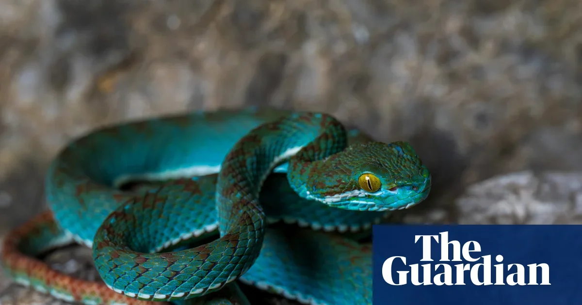 Limestone caves in Cambodia reveal a treasure trove of new species
