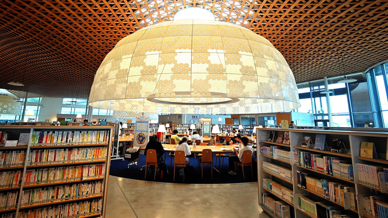 Featured image for U.S. Faces Alarming Decline in Math and Literacy Skills