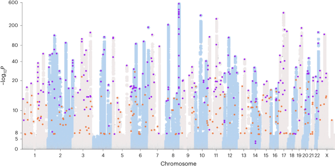 Featured image for Unveiling the Genetic Secrets of Prostate Cancer: Novel Risk Variants, Age Disparities, and PSA Levels