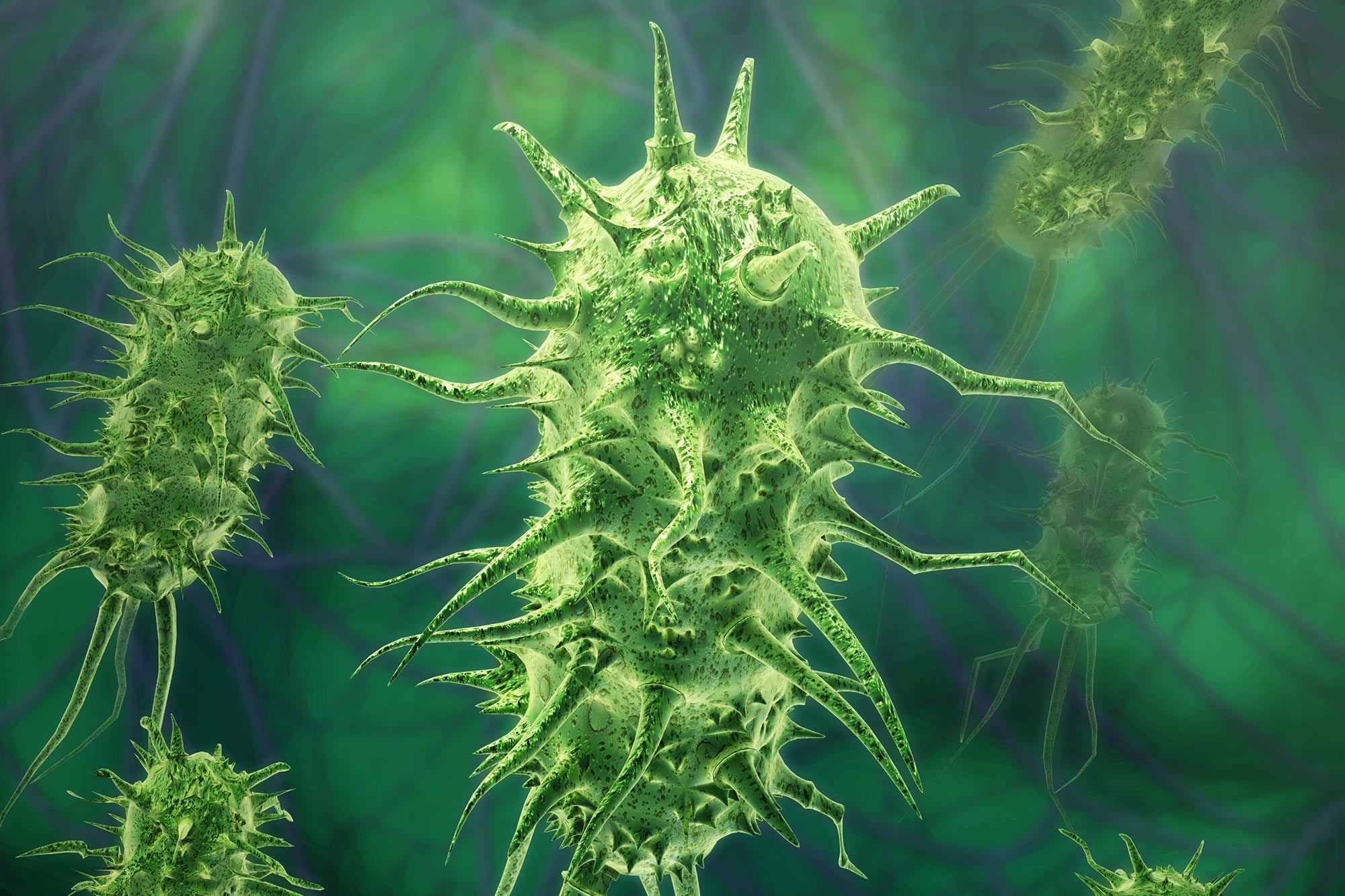 Featured image for Scientists Discover Potent New Antibiotic Hidden in Plain Sight