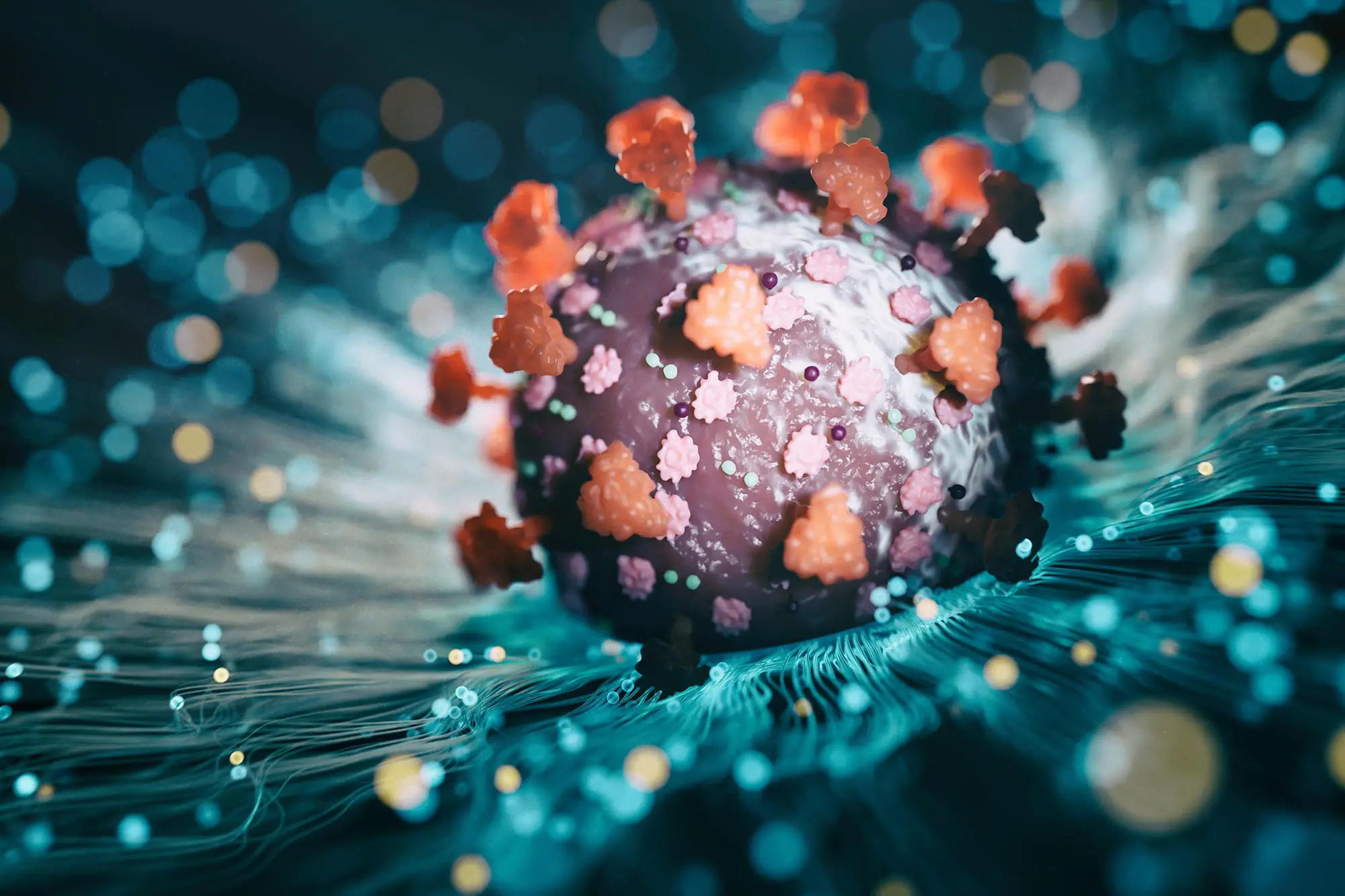 Featured image for Decoding XBB.1.16: The Latest COVID Variant from Omicron's Lineage.