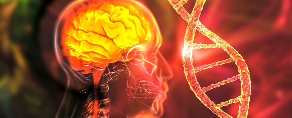 Featured image for First Successful Treatment Offers Hope for Huntington’s Disease