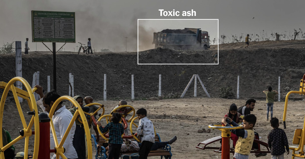 Environmental Concerns Rise Over Delhi's 'Green' Initiatives