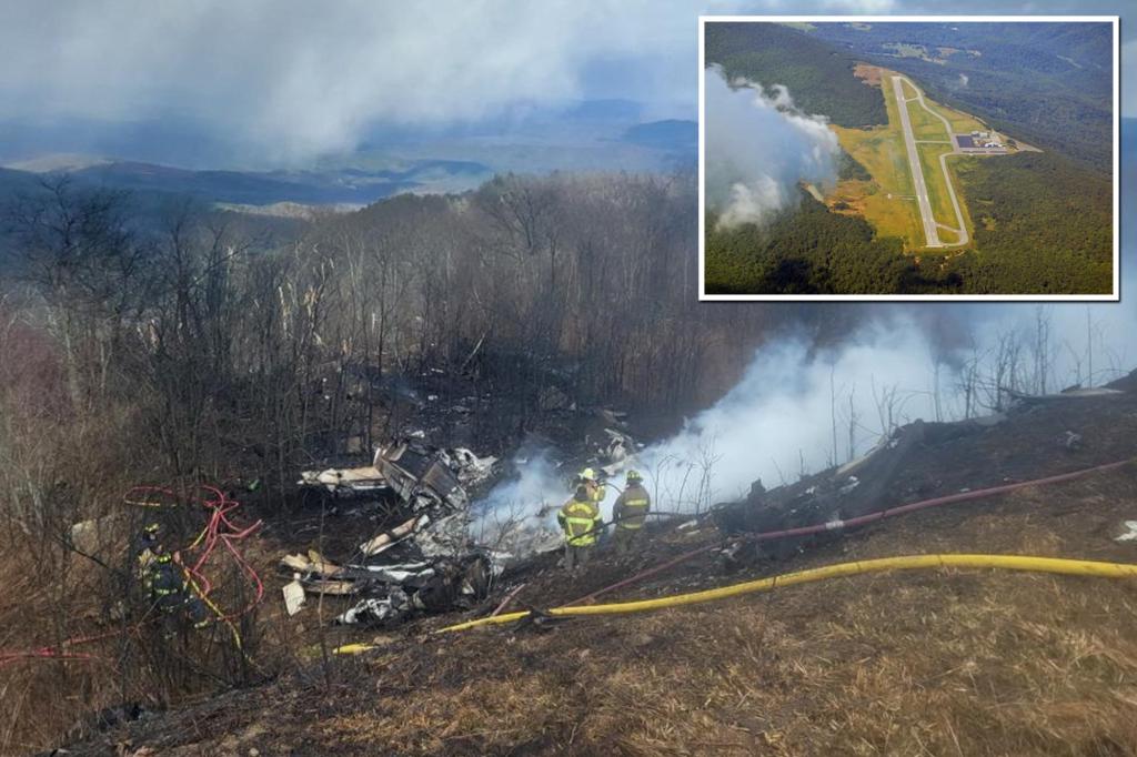 Tragic Plane Crash in Virginia Claims Five Lives