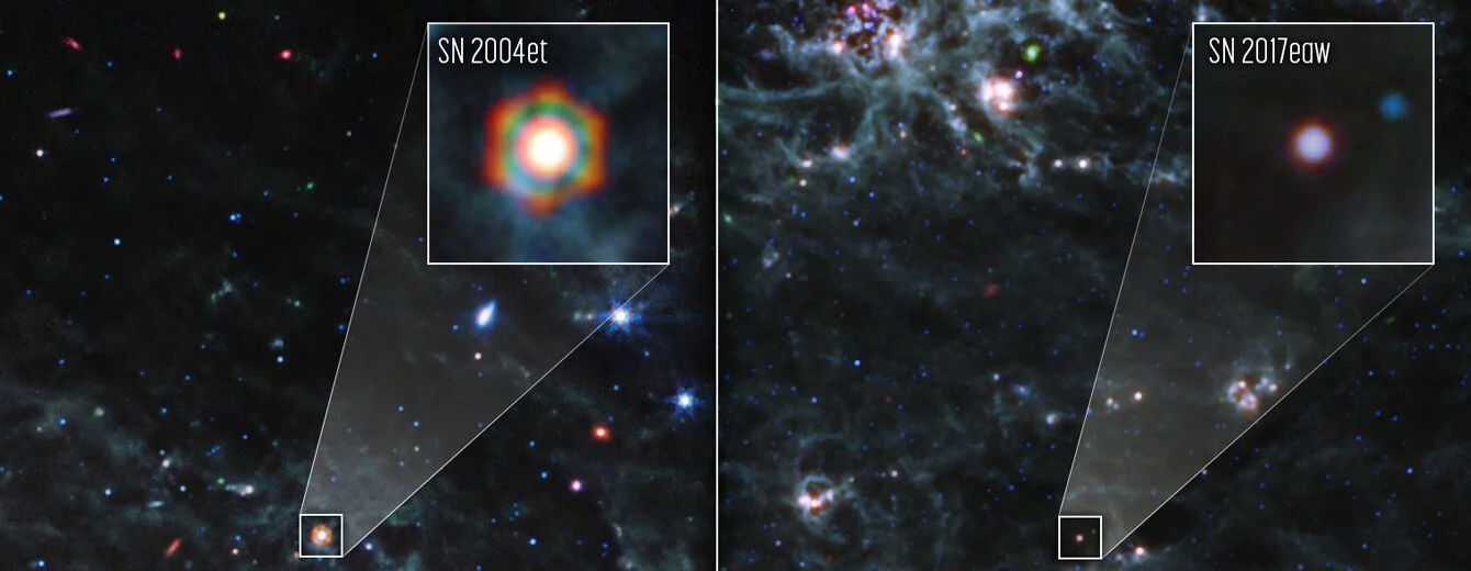 Uncovering Dust Reservoirs in Supernovae: Webb's Discovery