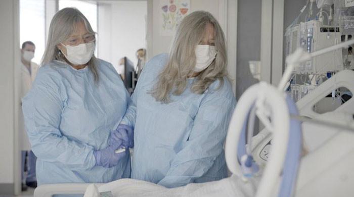 Featured image for Breakthrough Pig-to-Human Kidney Experiment Offers Hope for Organ Transplants