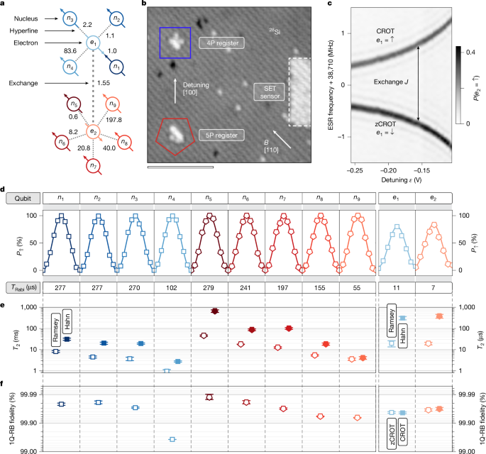 Featured image for Silicon Quantum Computing Achieves Record-Setting 11-Qubit Processor
