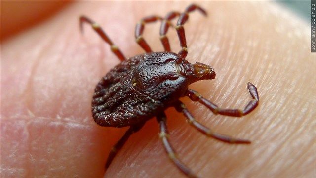 Rise in Tularemia Cases in Southwest Nebraska