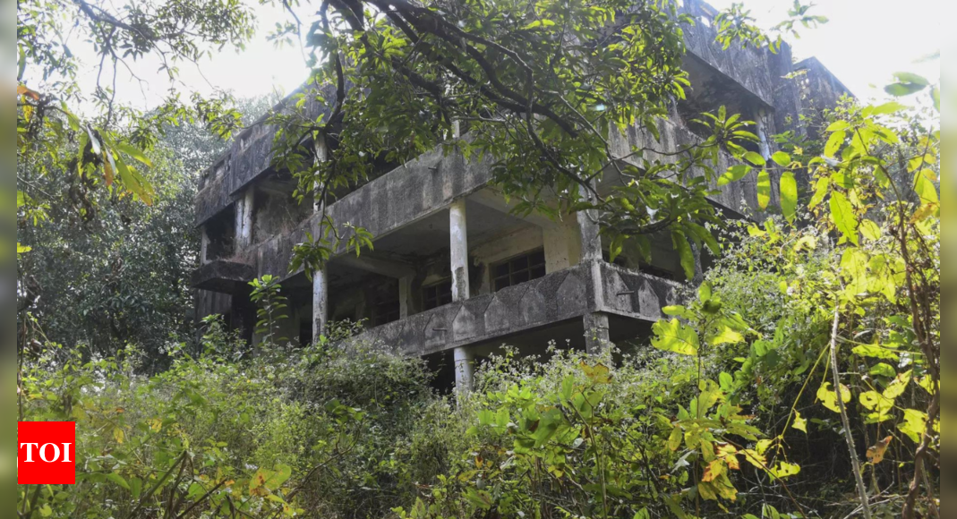 "Dawood Ibrahim's Ancestral Properties Fetch Over 1,300 Times Reserve Price at Mumbai Auction"