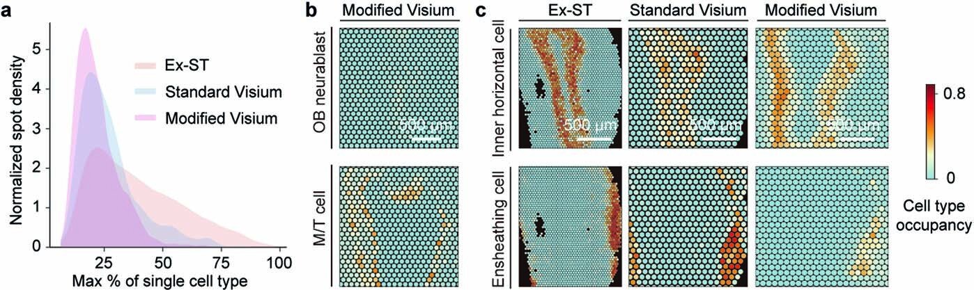 Featured image for Revolutionary Tool Enhances Neuron Sequencing Capabilities