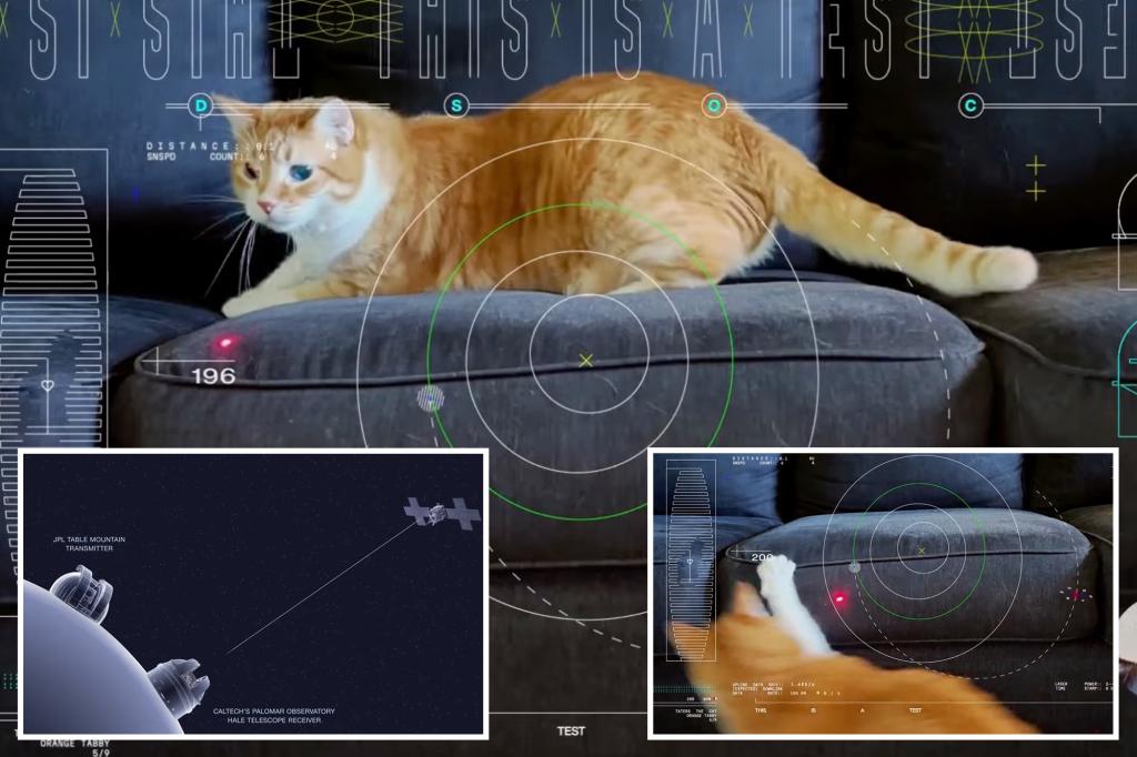 Featured image for NASA's Groundbreaking Cat Video Stream from Deep Space