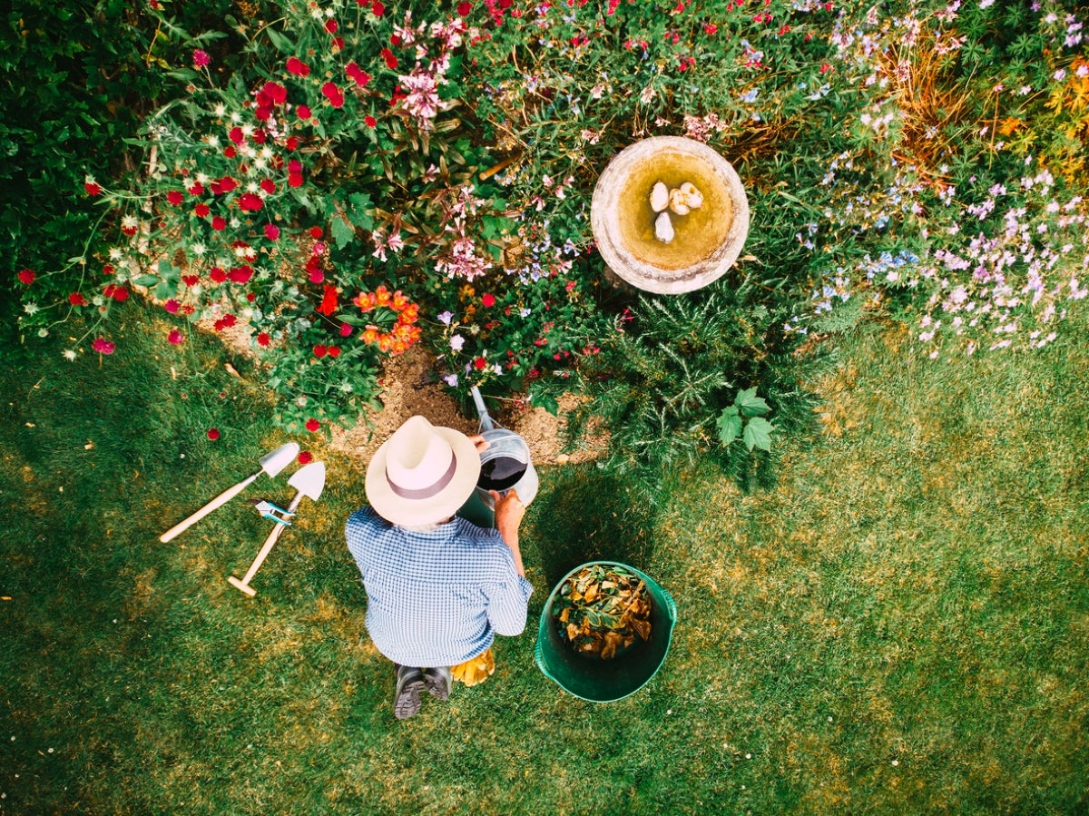 "The Science-Backed Benefits of Gardening: 10 Reasons to Get Your Hands Dirty"