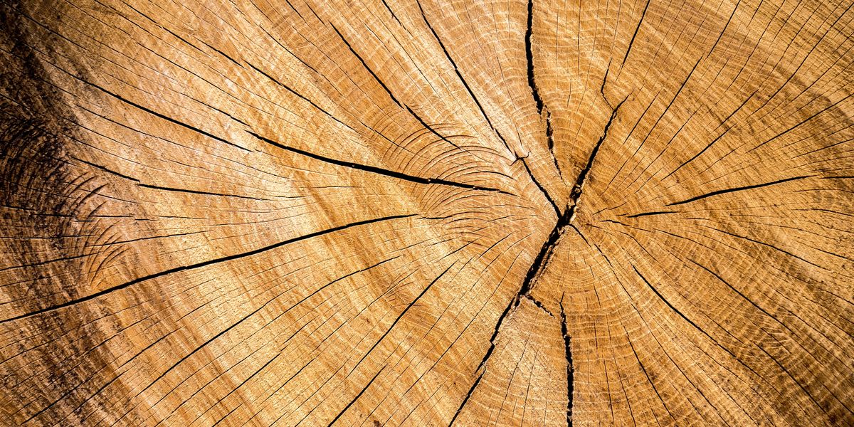 Featured image for "Unveiling the Hidden Earthquake Threats Looming Over the US"