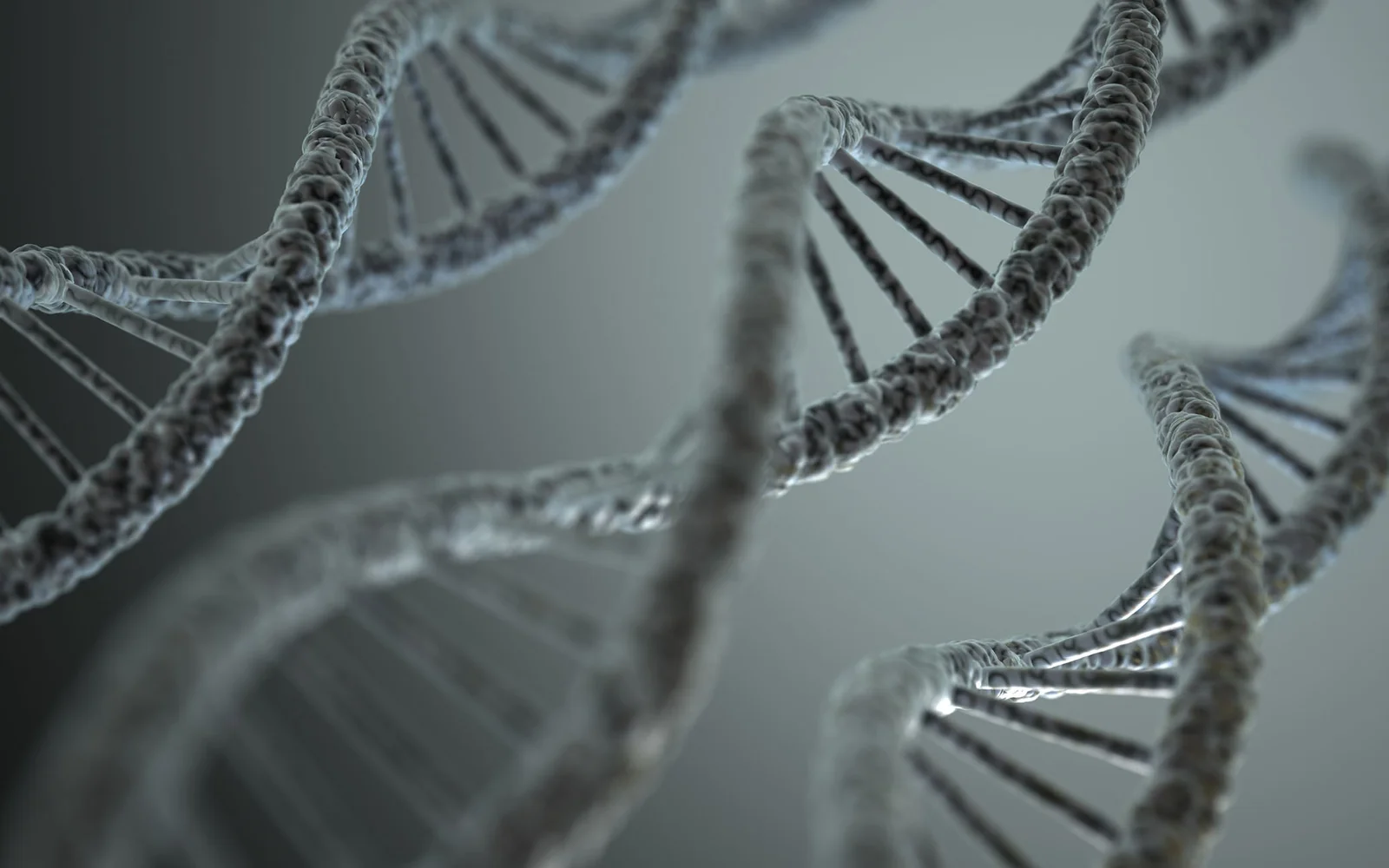 Featured image for Researchers Identify Four Distinct Autism Subtypes, Advancing Personalized Treatment