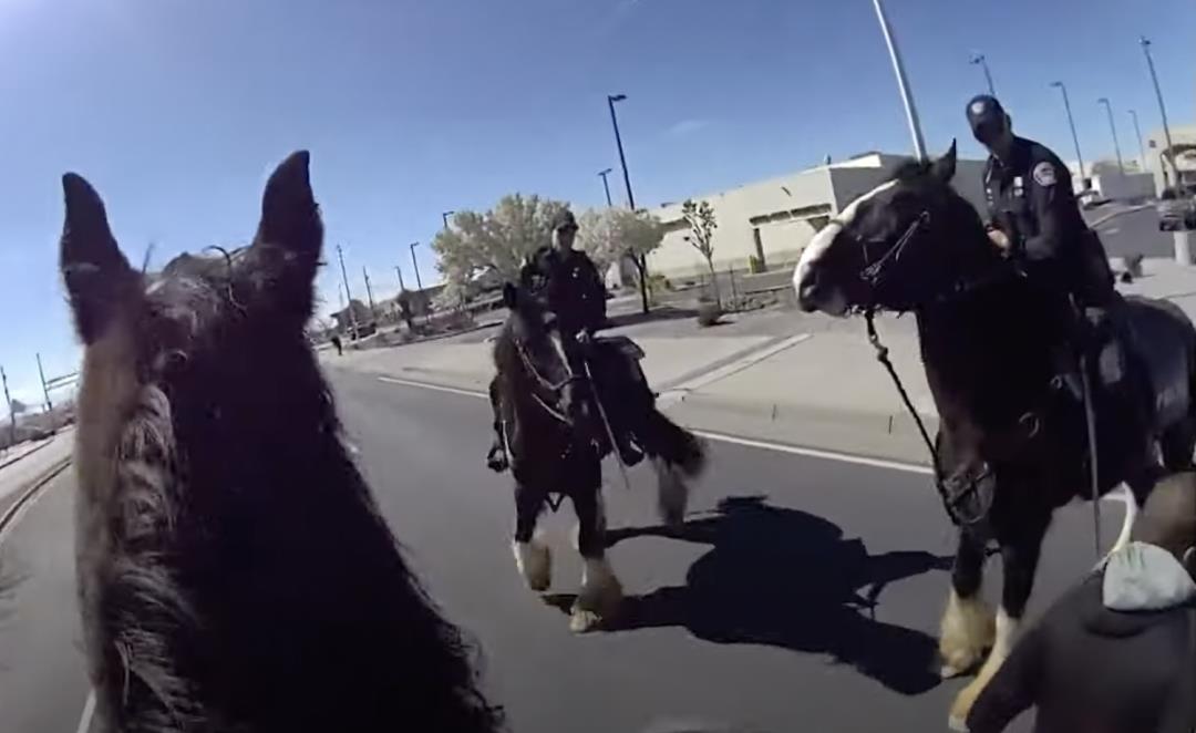 "Unusual Police Chase: Shoplifter Pursued on Horseback in New Mexico"