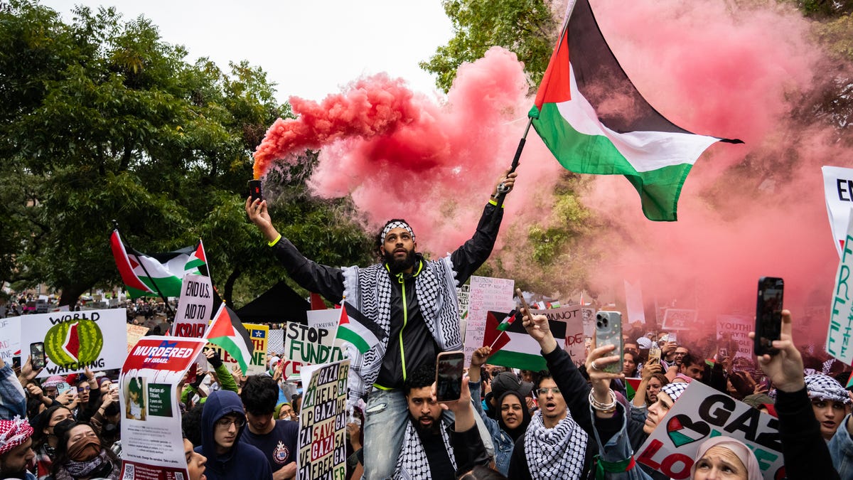 Massive Pro-Palestinian Rallies Across the US Demand Cease-Fire in Gaza