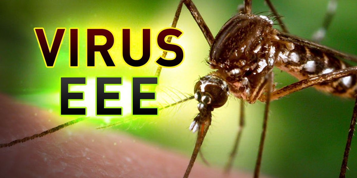 Featured image for Outbreak of Eastern Equine Encephalitis Spreads Across Northeastern US