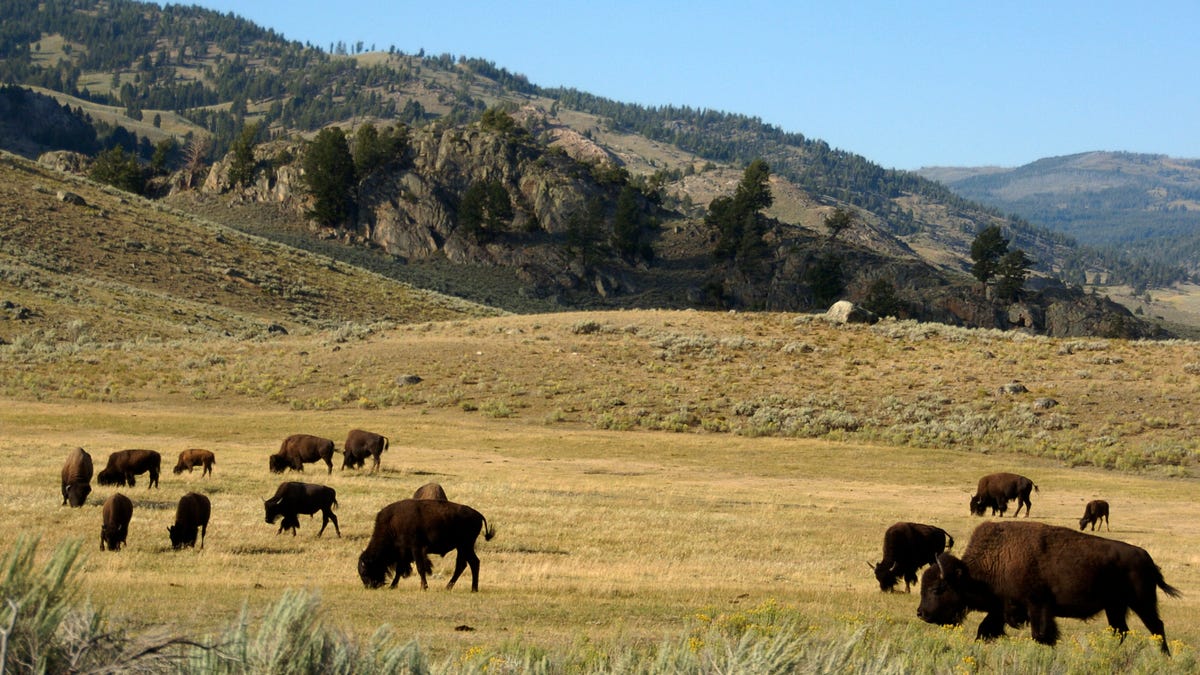 The Impact of a Government Shutdown on National Parks