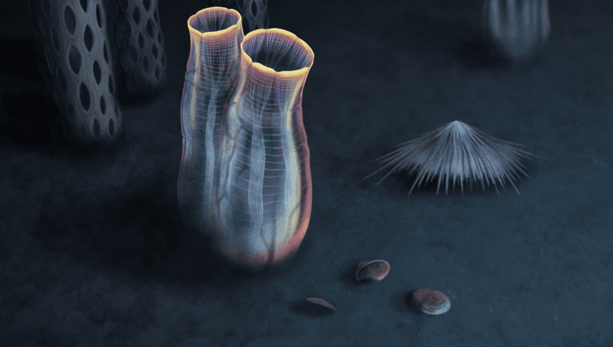 Featured image for Ancient Tunicate Fossil Unveils Astonishing Secrets of Vertebrate Origins